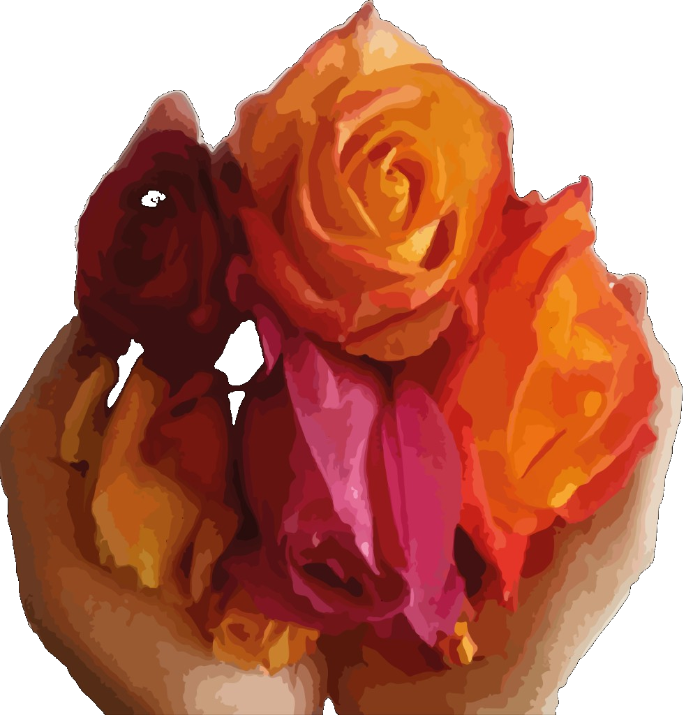 Las Rosas Life Style Care — rozen in handen